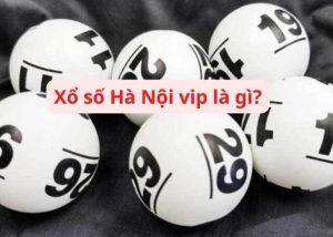 Xổ số Hà Nội VIP King88 là thể loại gì?